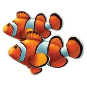 Clown Fish (Double) Porcelain Swimming Pool Mosaic (8" x 7")
