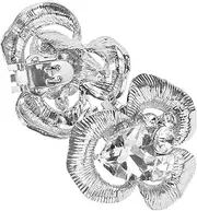 [Minkissy] 1 Pair Rhinestone Shoe Clips Removable Decorative Shoe Charms for Weddings Lightweight Accessories for High Heels Unique Sparkly Buckles to Enhance Fashion