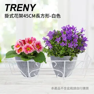 花架 TRENY 掛式花架 欄杆花架 壁掛花架 窗台架 陽台架