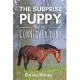 The Surprise Puppy and the Connemara Pony - The Coral Cove Horses Series