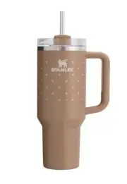 Stanley Quencher 40oz Hearth And Hand Magnolia in Deep Clay Orange Brown Target