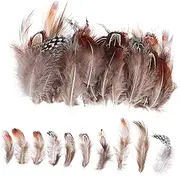 Anneome 300pcs DIY Plumes for Crafts Home Decor Wedding Party Plume Decoration