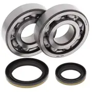 Crank Bearing & Seal Kit~1998 Suzuki RM250 All Balls 24-1021
