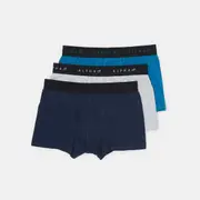 3 Pack Fly Front Plain Trunks