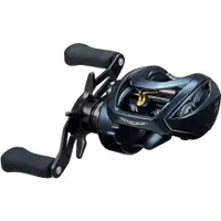 在飛比找蝦皮購物優惠-Daiwa 22'STEEZ A II TW 1000 (右