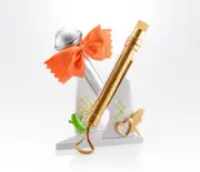 Tamashii Nations - Macross Frontier - PROPLICA - Sheryl Nome's Microphone [New T