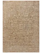 Loloi II Newman Space Dyed Area Rug