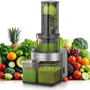 Juicer Machines Vegetable and Fruit, Cold Press Juicer Extractor Fit Whole Fr...