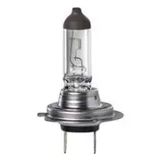 Ignite H7 55W Halogen Globe with PX26D Base - Pack of 1 - IGL2160BL