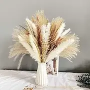 Rstigiker 90Pcs Natural Pampas Grass Natural Dried Flowers Bouquet Fluffy Pampas Grass Decor with 5 Different Flower Variants Ideal for Vases Decoration Boho Room Decor Wedding Decor