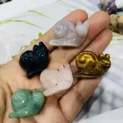 1"+ Natural Mixed material quartz Snail skull hand carved reiki Healing 5PC