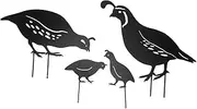 4Pcs Garden Quail Stake Bird,Yard Art Metal Statue Decor Animals Silhouette, Iron Art Hand, Outdoor Decoration Courtyard Ornaments for Lawns Backyard Patio Backyard Pathway