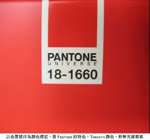 PANTONE Memo Pad/ A6/ Tomato