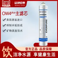 在飛比找露天拍賣優惠-愛惠浦OW4 4k凈水器主機芯 家用凈水機 更換專用主機濾芯