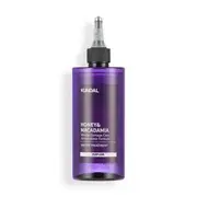 KUNDAL - Honey & Macadamia Miracle Damage Care Water Treatment - 2 Types White Musk