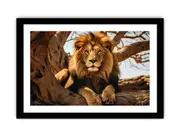 Lion Art Art Framed print