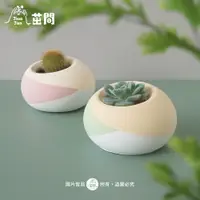 在飛比找蝦皮購物優惠-［茁間 JhuoJian］三色豆花球┇橢圓水泥盆  不含植物