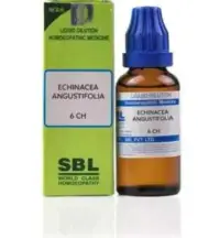 SBL Echinacea Angustifolia Dilution 6CH