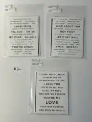 Simon Says Stamp Sentiment Strips #2 - Love Valentine Swak Foxy - 6 Sets