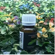 Basil Essential Oils ~ Pure Natural Aromatherapy Massage Oil - Therapeutic Grade - 100% Natural Incense - Pure essential oil (10ml)