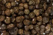 6 lbs Mali Garnet Rough Stones - Natural Crystal Mineral Rock Specimens Tumbling