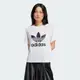 【Adidas】TRFL TEE BOXY 短袖上衣/白/女款 - IN8441/ L