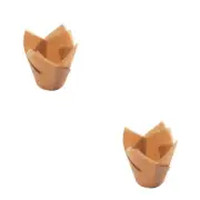 cupcake cups 2x Baking Wrapper Cupcake Baking Cup Muffin Parchment
