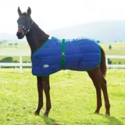 WeatherBeeta 420D Foal Standard Neck Medium Weight Blanket