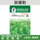 【台灣現貨】甜羅勒 H-050 香草種子 農友牌 小包裝種子 約200粒/包【HOMEDEN霍登園藝】