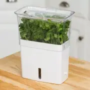 Cole & Mason Fresh Herb Keeper Container