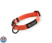 Peak Performance Pets Overlook Waterproof Dog Collar | Medium Sunrise Orange,