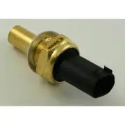 RAE Coolant Temperature Sensor - CS904