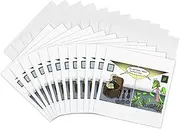 3dRose Fathers Day, Black Widow Spider, Preying Mantis - Greeting Cards, 6 x 6, Set of 12 (gc_3522_2)