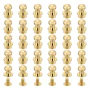 30Pcs 9mm Chicago Screws Round Head Button Leathercraft Rivets, Light Gold