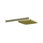 Greens Glide Syntra Rainboost Wall Shower PVD Brushed Brass 67300BB