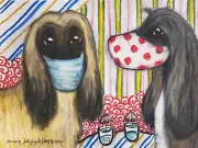 Afghan Hound Quarantine 13x19 Dog Pop Art Print Collectible Signed Artist KSams