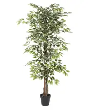 Peyton Lane Ficus Tree Artificial Decorative Foliage