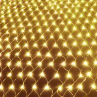 在飛比找蝦皮商城優惠-【防水網燈】2米x3米 聖誕網燈 網燈 漁網燈 裝飾燈 聖誕