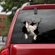 Funny The Sphynx car window decal, vinyl decal, The Sphynx lover, car decoration