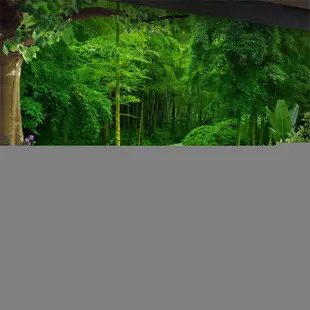 中式現代背景墻布綠色竹子竹林風景壁畫火鍋飯店茶樓客廳書房壁紙