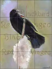 Blackbird Tile Backsplash Debbie Hughbanks Bird Art Ceramic Mural DHA072