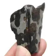 52.7g excellent SERICHO Pallasite olive meteorite slices - from Kenya QA481