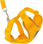 RC Pets Adventure Kitty Cat Harness | Adjustable Airmesh Vest with D-Ring and 6ft Leash for Walking and Travel | Marigold, Medium