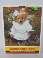 Kodacolor 550 Piece Jigsaw Puzzle Summer Stroll 1992 SEALED Teddy Bear