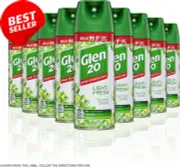 Disinfectant Spray Summer Garden 300g Pack of 9 Antibacterial Cleaner