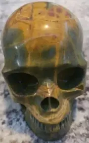 5.0" Petrified Wood Hand Carved Crystal Skull, Realistic, Crystal Healing