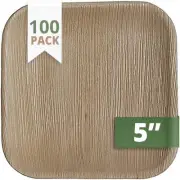 Square Palm Leaf Plates Set (Pack of 100) | Appetizer Or Dessert Plates | Ecofri