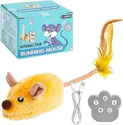 Cat Mice Moving, Remote Control Doll with Light & Sound | Pet Supplies for Kitten Play, Indoor Outdoor Exercise