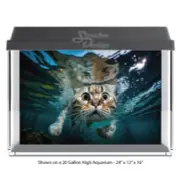 Surprised Tabby Cat Polyester Fish Tank Glass Backdrop Aquarium Background