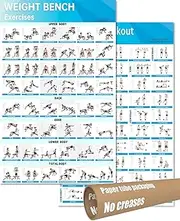 Fitness Bench Poster Adjustable Benches Poster